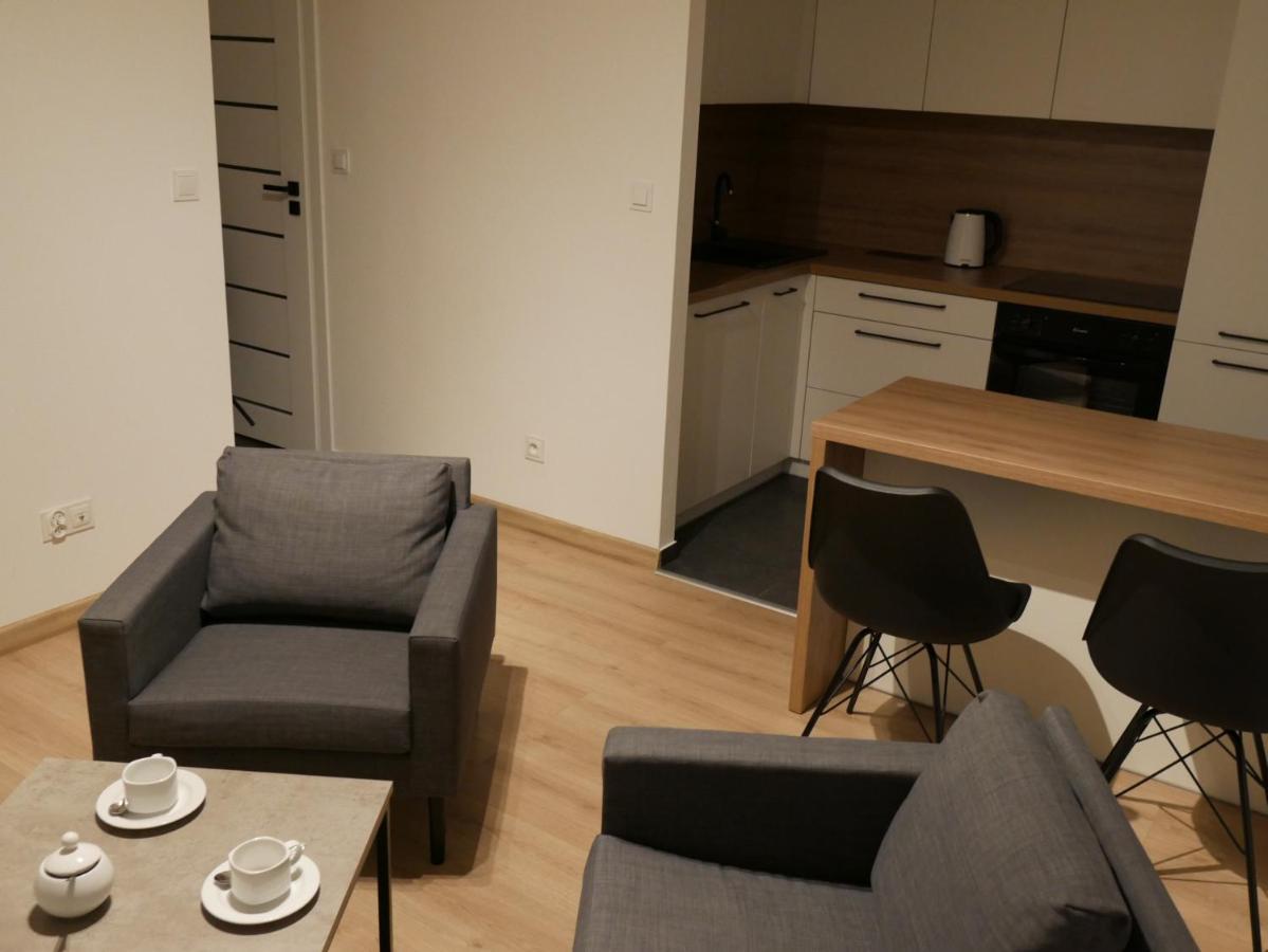 Auschwitz New Flat For Rent Air Conditioning In The Apartament Oswiecim Nowe Mieszkanie - Centrum Klimatyzacja W Mieszkaniu Lägenhet Exteriör bild